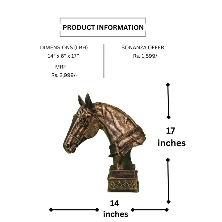 Horse Head - Image 8